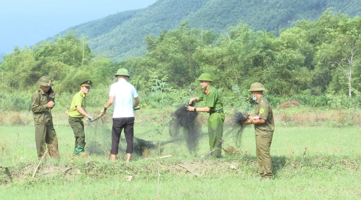 thao do bay, bao ve dan chim ve long ho nui coc, thai nguyen hinh anh 6