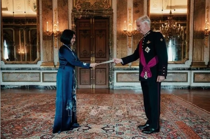 vietnamese ambassador to belgium begins tenure, looks to deepen 50 years of ties picture 1