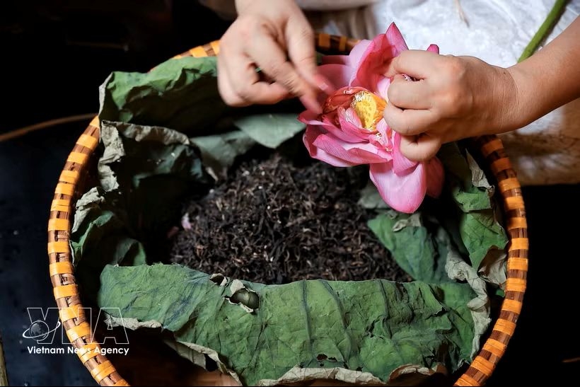 hanoi to unveil beverage tourism map at 2026 festival picture 1