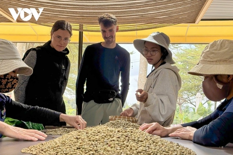 buon ma thuot coffee festival targets international scale in 2027 picture 1