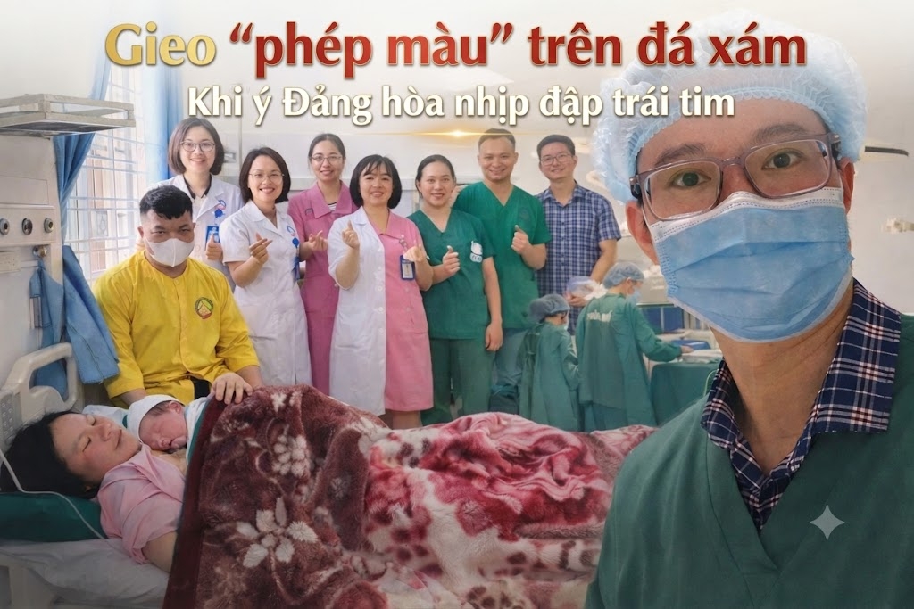 "Gieo “phép màu” trên đá xám: Khi ý Đảng hòa nhịp đập trái tim"