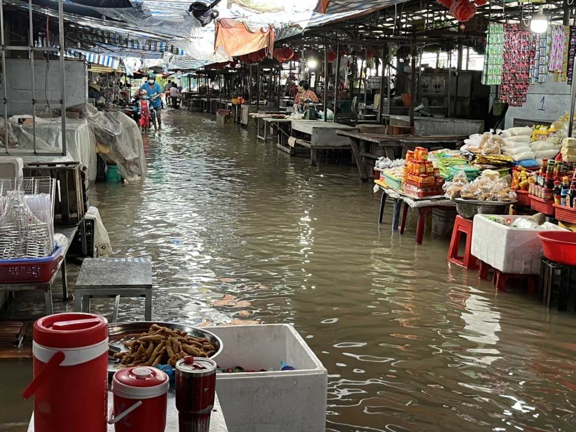 nhieu ngoi cho o Dong thap ngap sau do trieu cuong dang cao hinh anh 1
