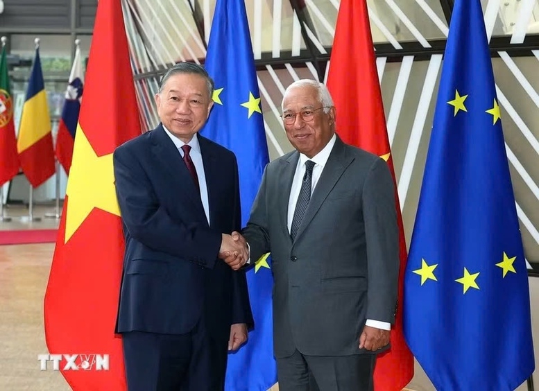 tong bi thu, chu tich nuoc to lam hoi dam voi chu tich hoi dong chau Au hinh anh 1