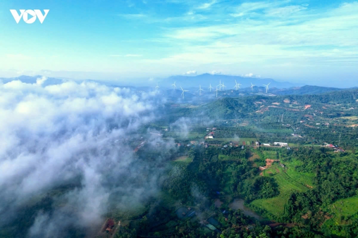 cloud hunting amid wind turbines in western quang tri province picture 5