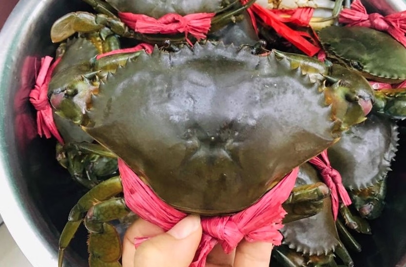 china leads vietnam s crab exports as us shipments surge picture 1
