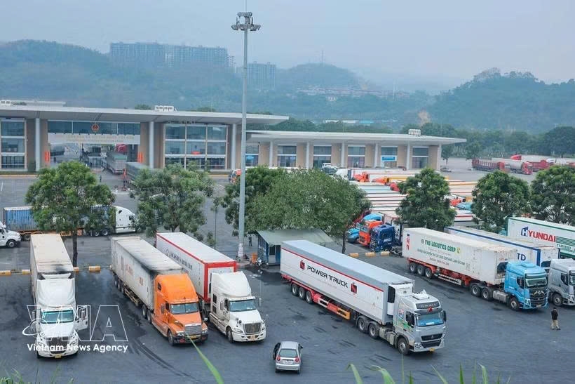 cross-border e-commerce opens new export path for vietnam picture 1