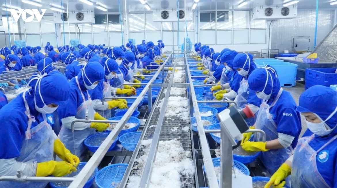 da nang targets 11 growth in 2026 as quarter iv challenges mount picture 1