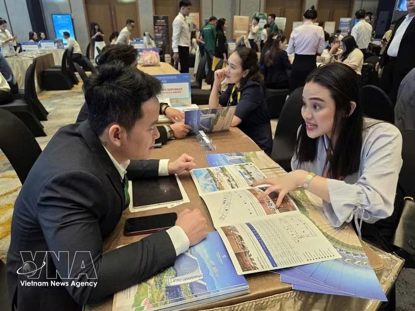 da nang expands tourism markets through 7,000 business connections picture 1