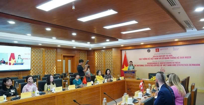 vietnam, denmark strengthen cooperation in statistics, digital transformation picture 1