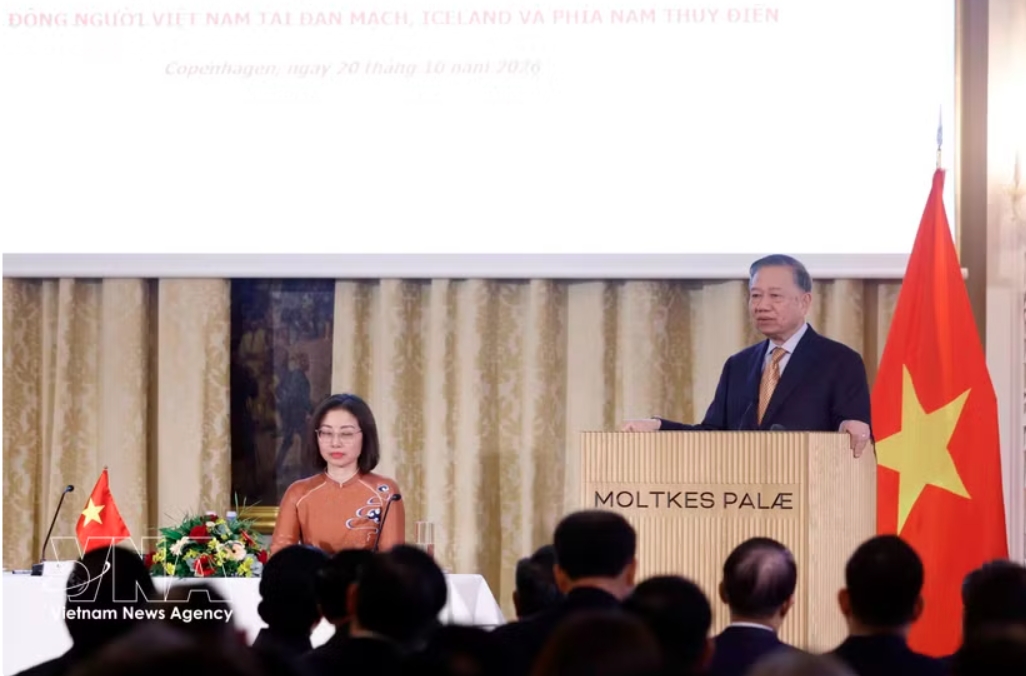 top leader meets embassy staff, vietnamese communities in denmark, iceland, sweden picture 1