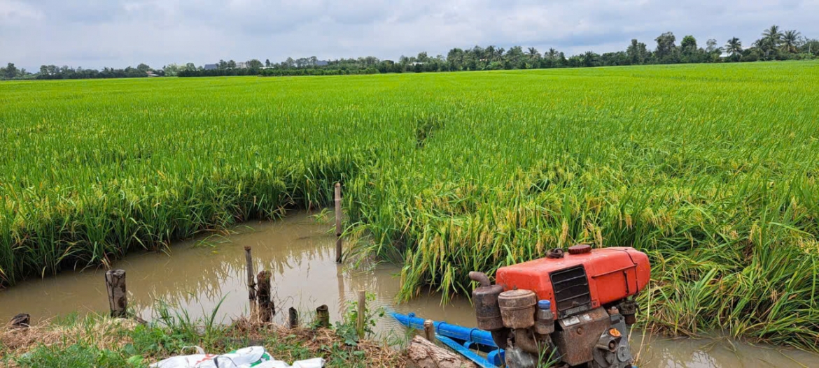 khu vuc phia nam xuat khau nong san dat hon 29,43 ty usd hinh anh 3