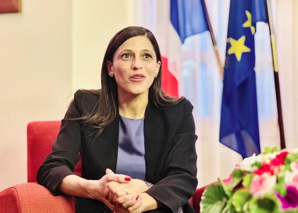 vietnam, france move to turn high-level commitments into practical cooperation picture 1