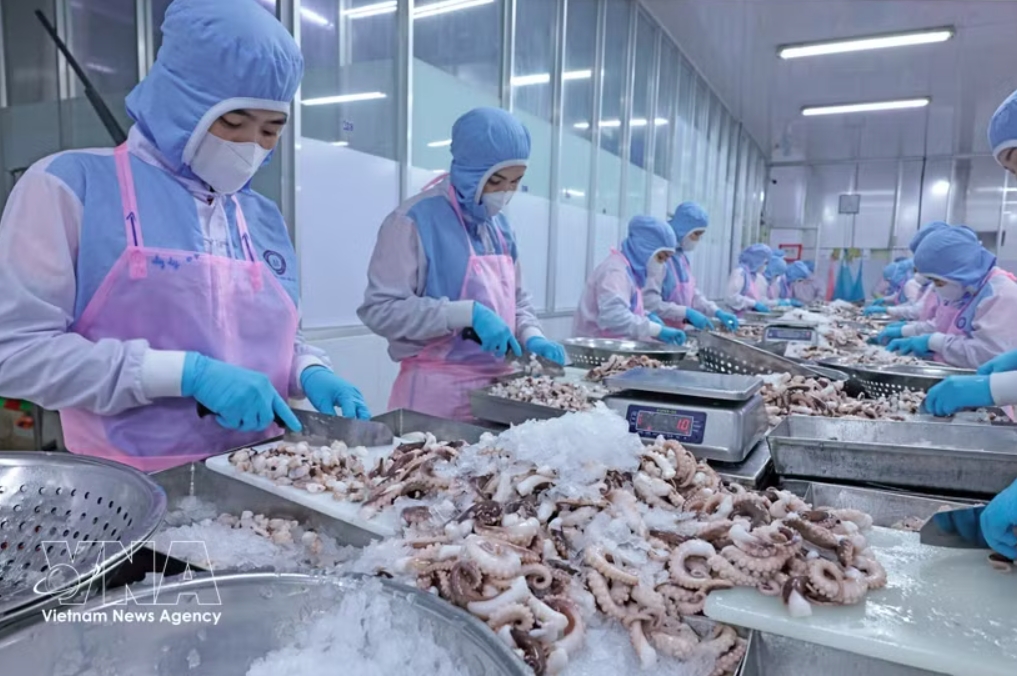 fisheries sector strives for us 12 billion in exports amid rising costs picture 1