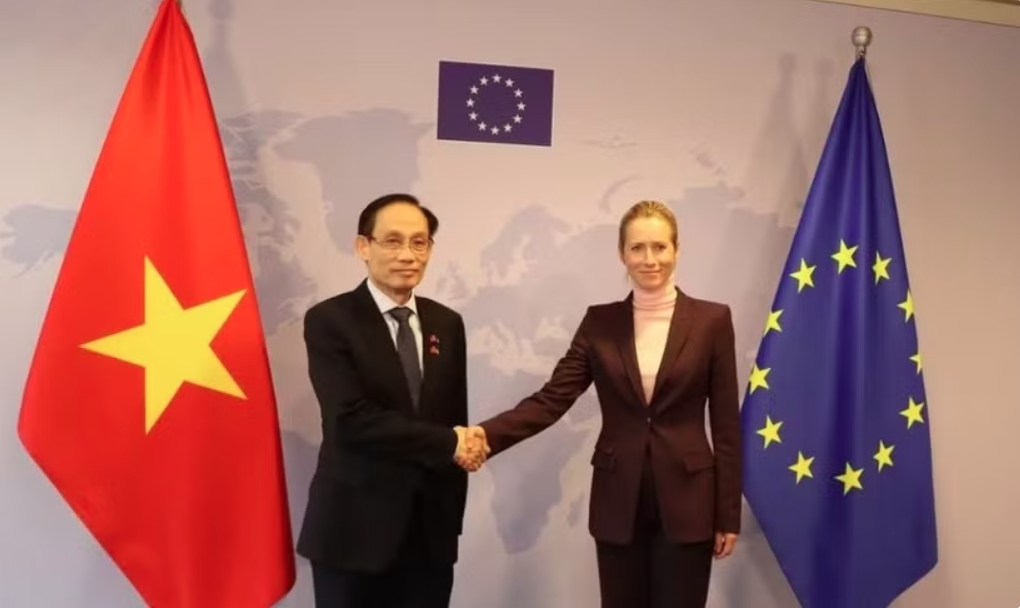 vietnam, eu coordinate in implementing comprehensive strategic partnership picture 1