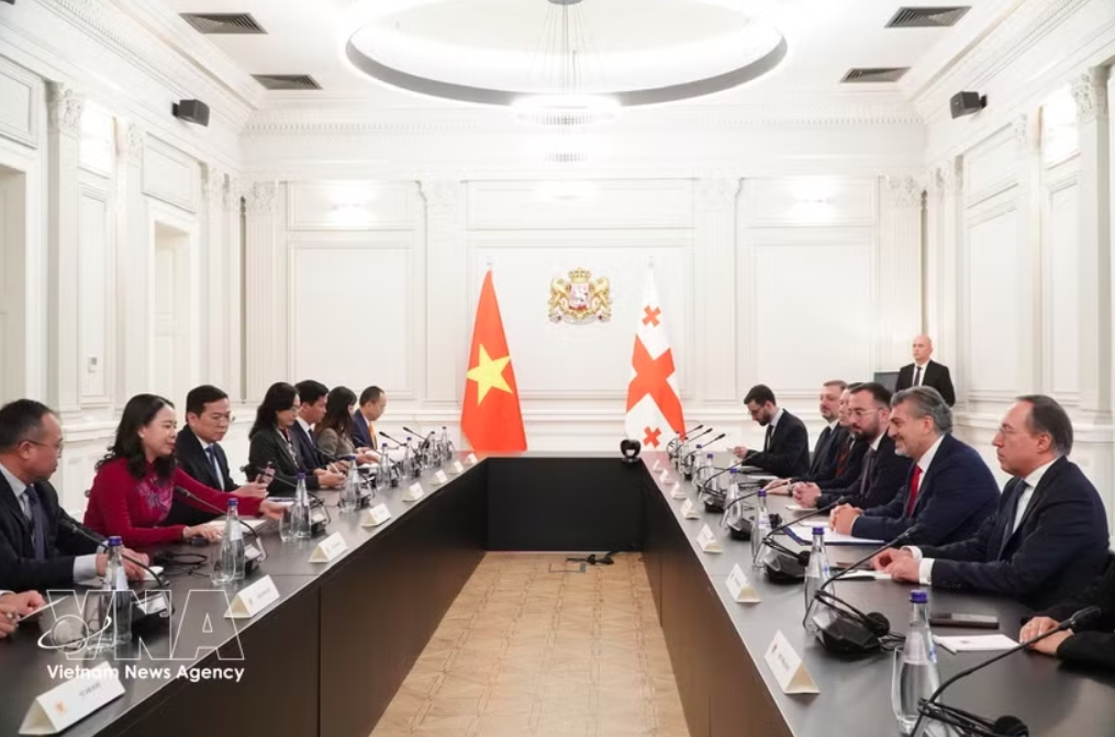 vietnamese vice president meets with georgian leaders picture 1
