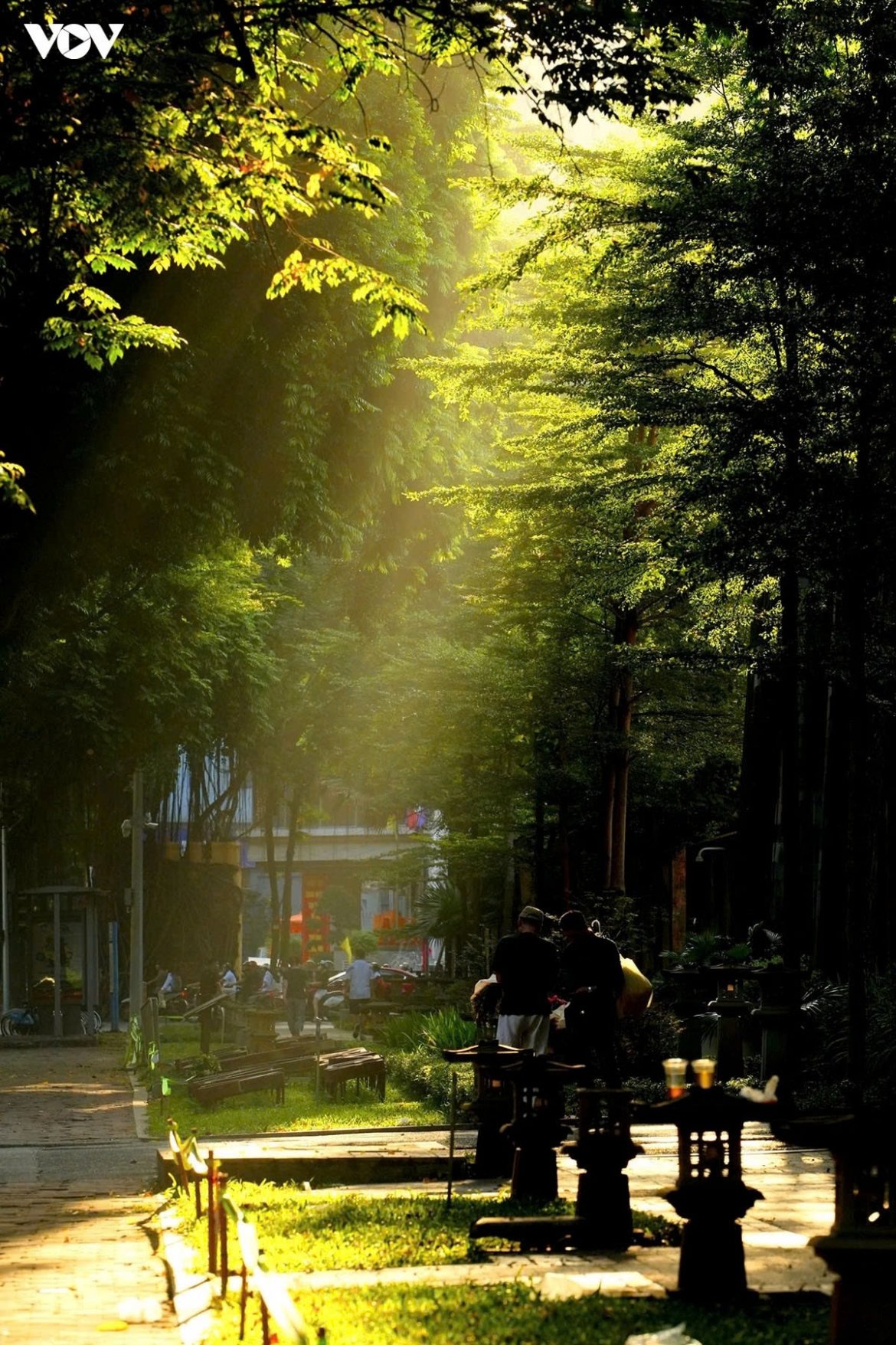 romantic early autumn sunshine in hanoi picture 5
