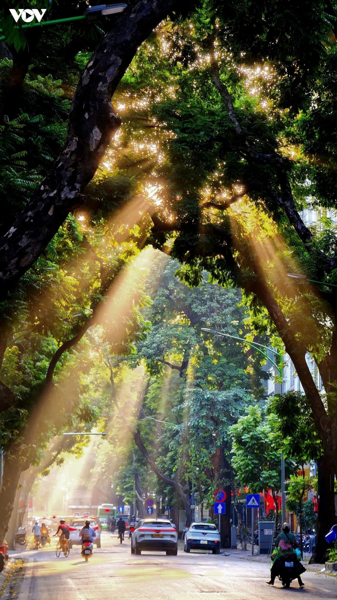 romantic early autumn sunshine in hanoi picture 9