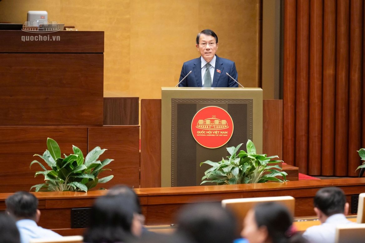 nghien cuu, can nhac viec bo sung cac toi danh moi va hinh su hoa mot so hanh vi hinh anh 1