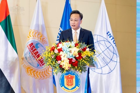 pho chu tich quoc hoi nguyen thi hong du hoi thao quoc te ve kiem toan toi cao hinh anh 3