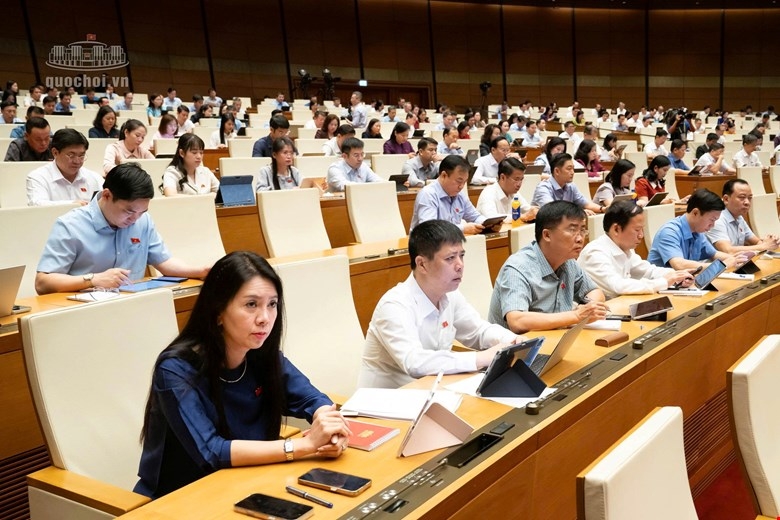 tinh gon he thong van ban quy pham phap luat hinh anh 2