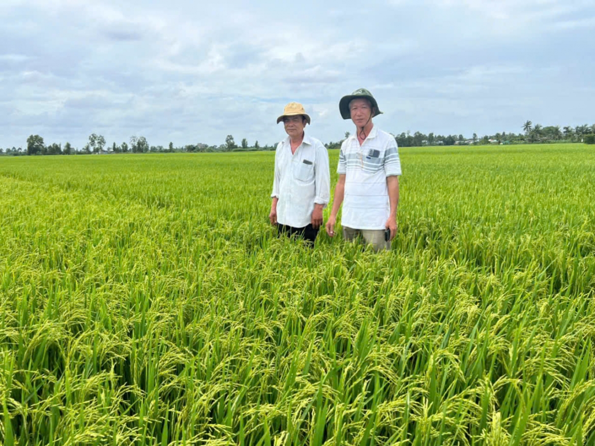 vung Dbscl chu dong ung pho xam nhap man, thieu nuoc ngot mua kho hinh anh 3