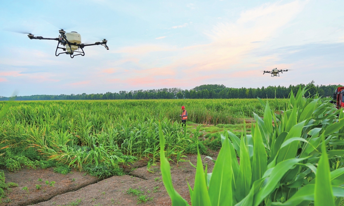 trung quoc so huu hon 300.000 drone nong nghiep, dan dau the gioi hinh anh 1