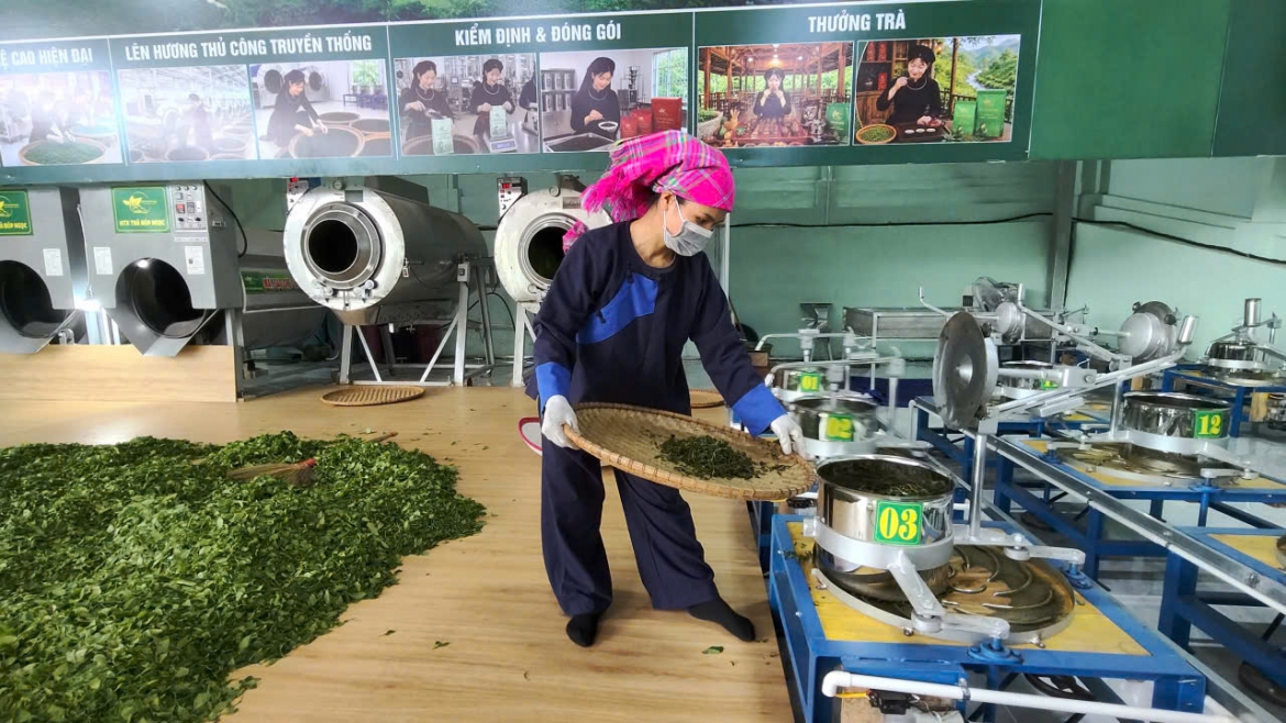 nguoi lam che thai nguyen truoc them festival tra quoc te hinh anh 4