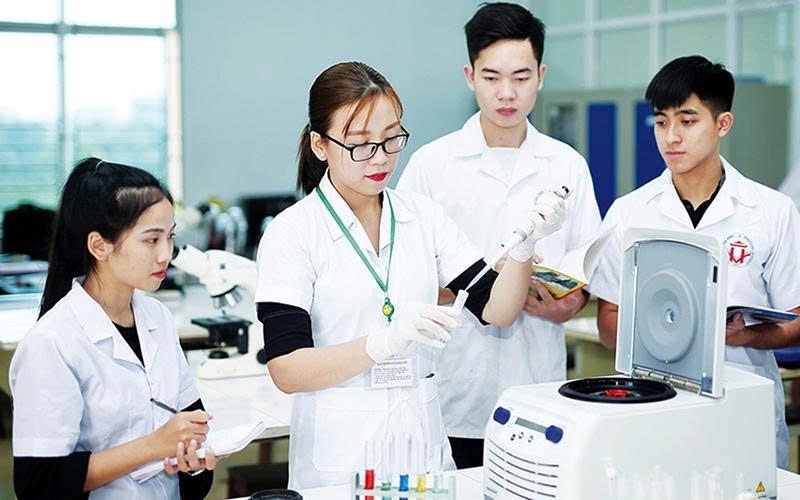 muon co nhan tai, phai doi moi cong tac nhan su hinh anh 1