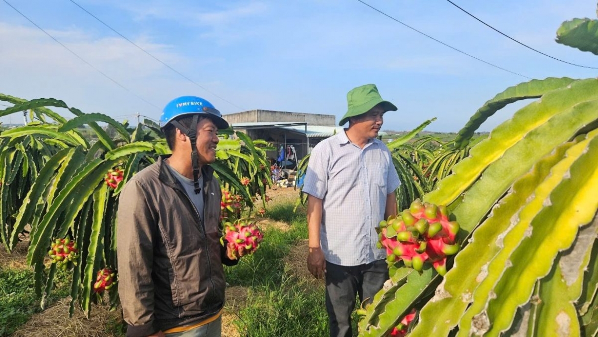 TP.HCM hỗ trợ tối đa 10 tỷ đồng cho dự án liên kết sản xuất và tiêu thụ nông sản