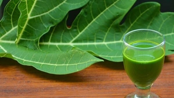 tuong tot cho suc khoe, nuoc la du du co the khong phu hop voi nhung nguoi nay hinh anh 1