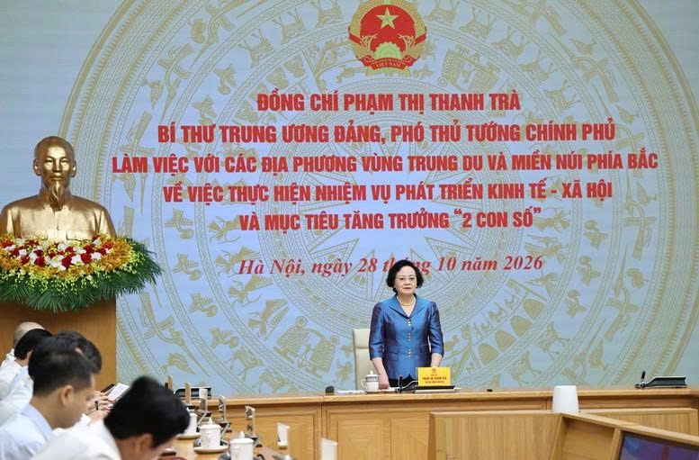 pho thu tuong pham thi thanh tra de nghi khan truong hoan thien vi tri viec lam hinh anh 1