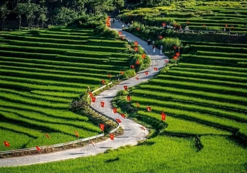 travel firms drive tourist flows, boost tourism value picture 1