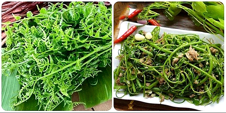 Cây rau thường mọc dại bờ bụi, ăn vào bổ cho tiêu hóa, tim mạch và tinh thần