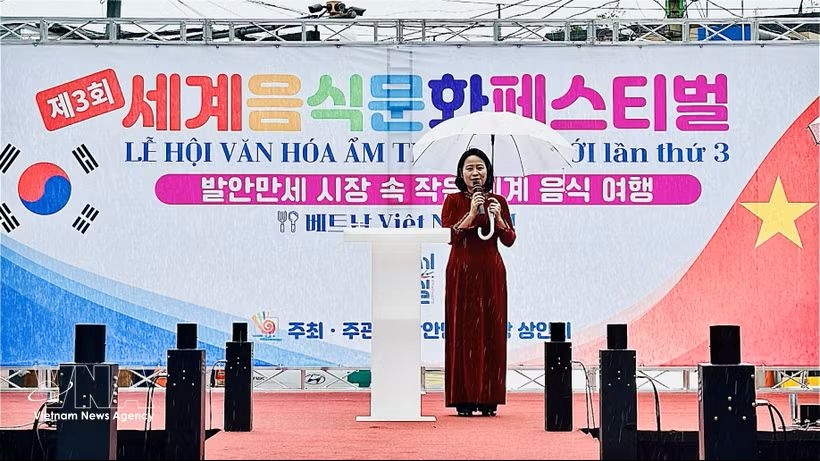 vietnam rok friendship strengthened through world culture festival picture 1