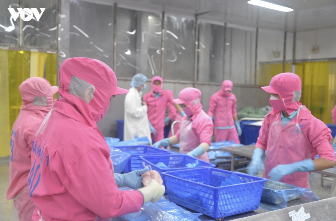 pangasius exports to middle east up 7 , led by saudi arabia picture 1