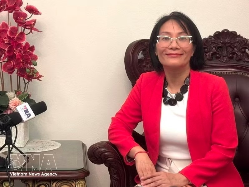ambassador pledges to deepen vietnam-malaysia comprehensive strategic partnership picture 1