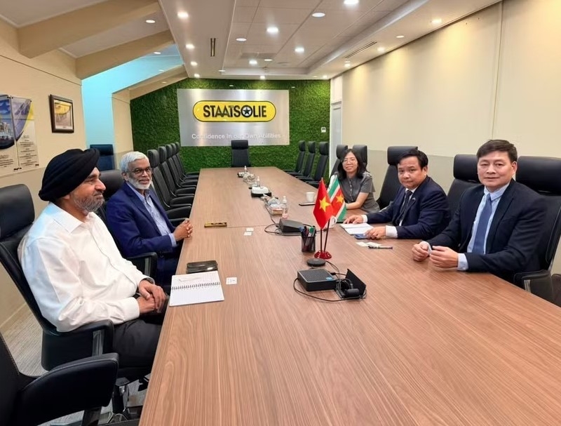 vietnam, suriname promote substantive cooperation across multiple fields picture 1