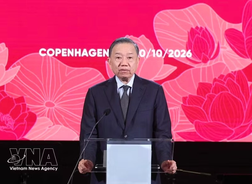 top leader stresses linking denmark s strengths with vietnam s potential picture 1