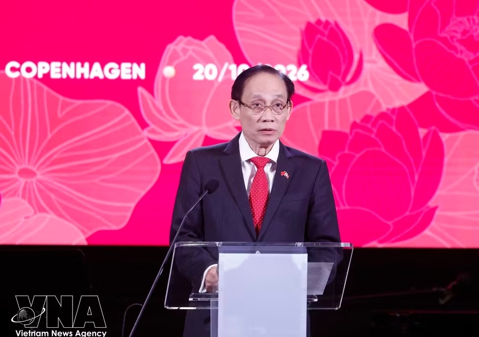 top leader stresses linking denmark s strengths with vietnam s potential picture 2