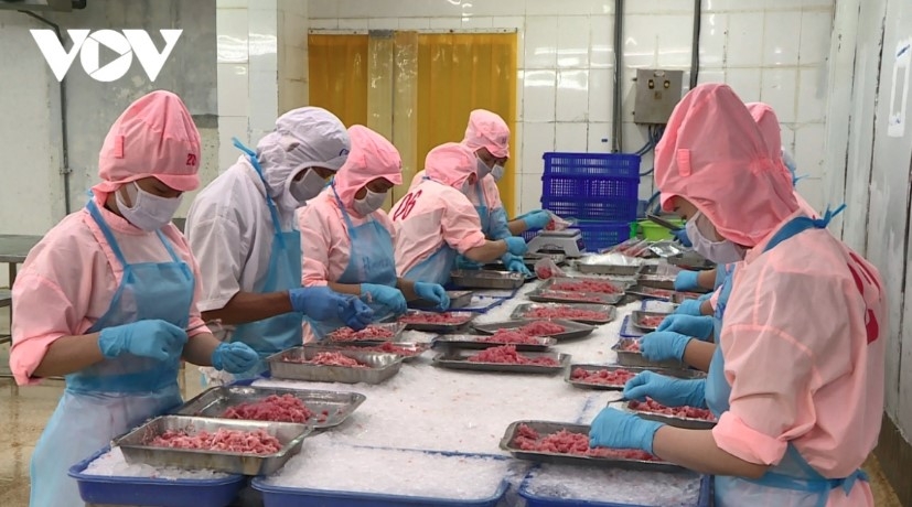 china leads vietnam s nine-month seafood export growth picture 1