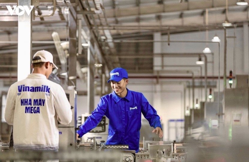 vietnamese enterprises elevate brand value, expand global market reach picture 1