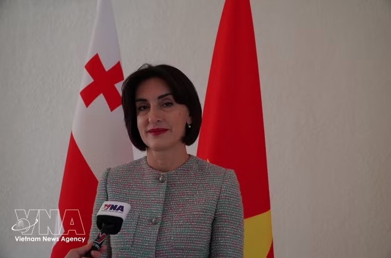 vice president s georgia visit opens new opportunities for bilateral ties picture 1