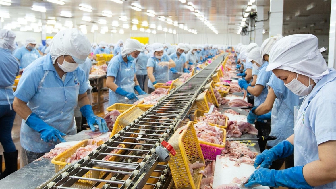 seafood industry eyes new export and processing opportunities under efta deal picture 2