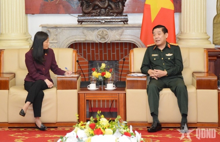 vietnam, us step up cooperation on search and identification of martyrs remains picture 1
