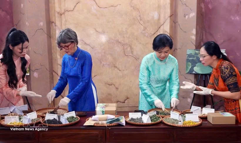 Spouses of Vietnamese, Swiss leaders visit Hanoi University of Pharmacy