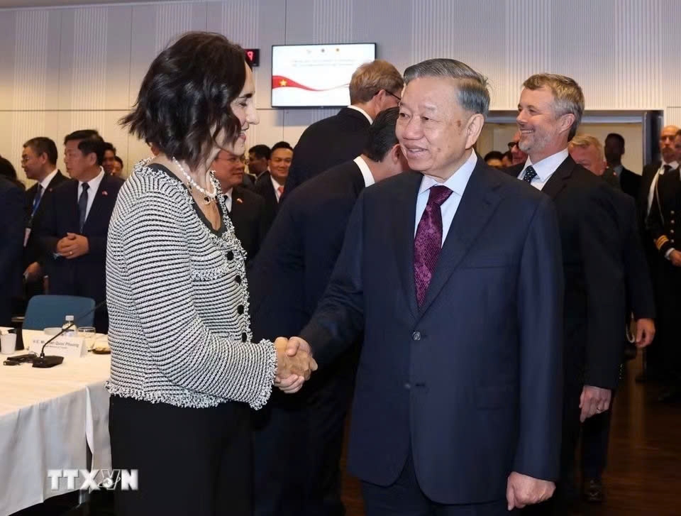 vietnam welcomes greater investment from leading danish companies picture 1