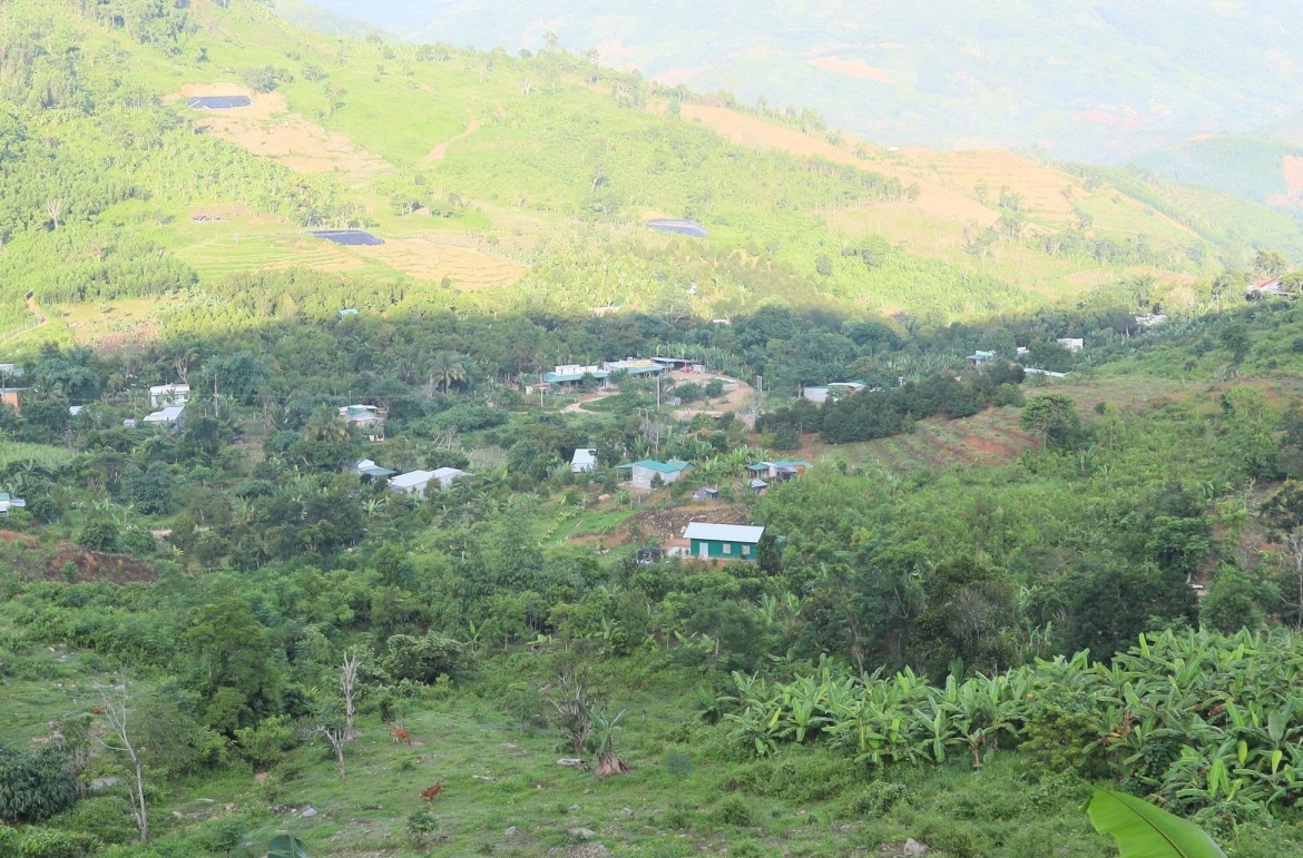 khanh hoa day manh dich vu cong truc tuyen hinh anh 3