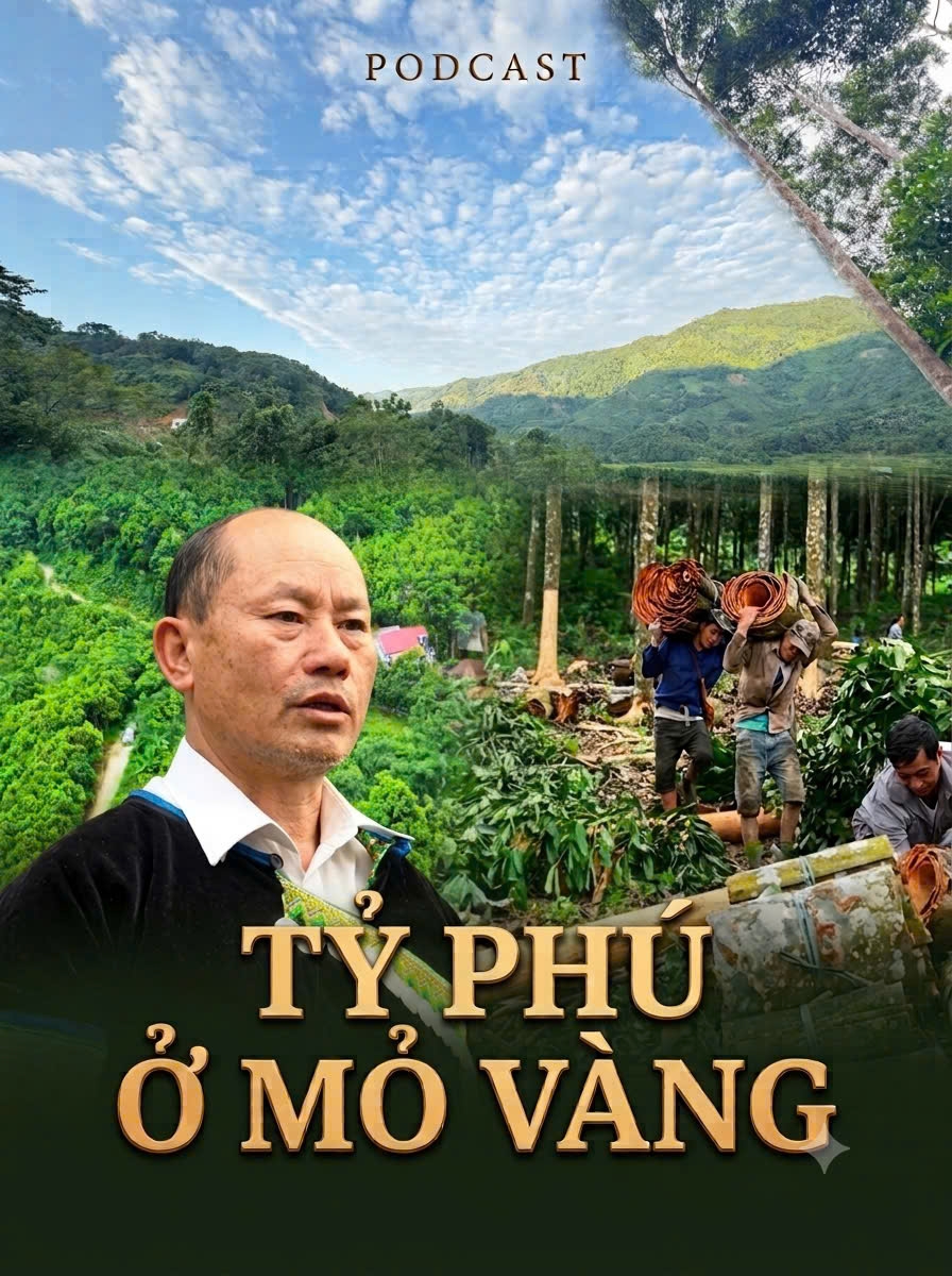 Tỷ phú ở Mỏ Vàng