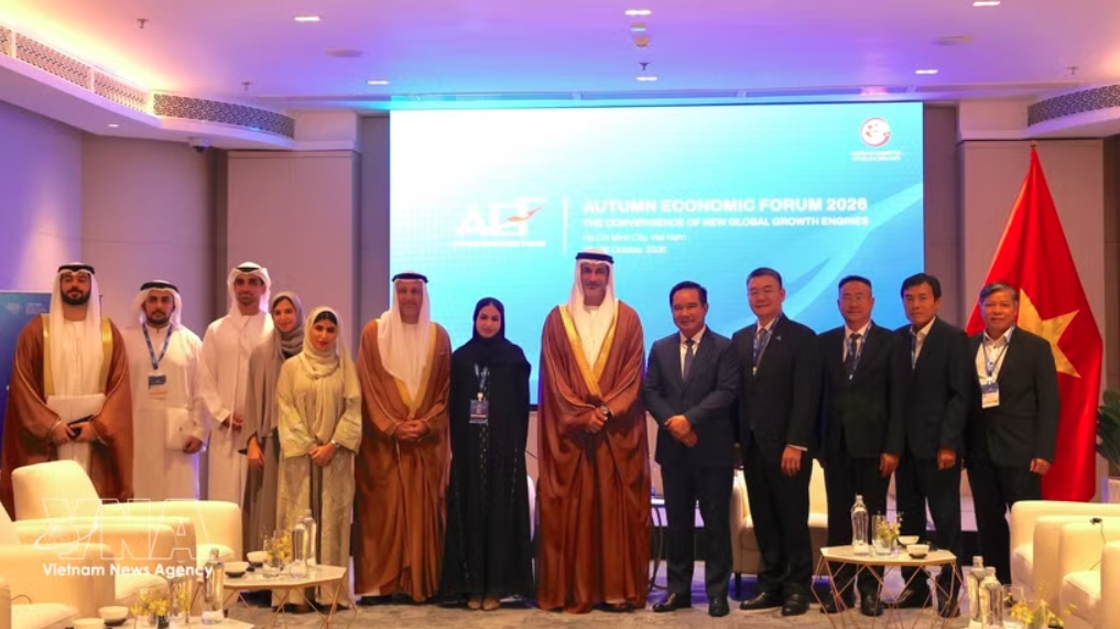 ho chi minh city seeks to expand energy cooperation with uae picture 1