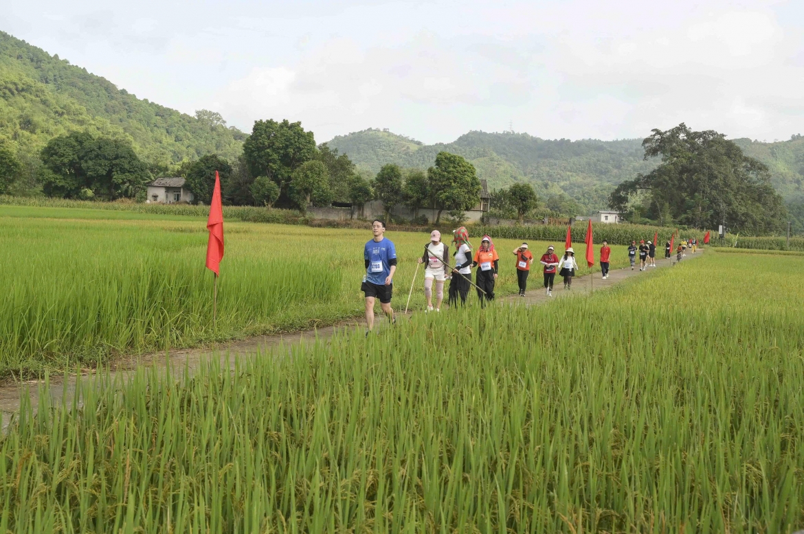 Cung đường chạy “Sắc vàng Cốc San” mở ra xu hướng du lịch mới cho Lào Cai